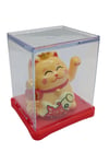 JaponyaDünyadan HediyelerDNY-HDYDGNF11KRM11Keskin Hediyelik Eşya Ve TekstilManeki Neko El Sallayan Mini Şans Kedisi Krem Solar Güneş Enerjili 5x5cm F11KRM11
