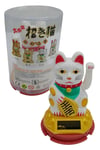 JaponyaDünyadan HediyelerDNY-HDYNEKO4520GBKeskin Hediyelik Eşya Ve TekstilManeki Neko El Sallayan Şans Kedisi Beyaz Solar Güneş Enerjili 6x10cm NO6GB