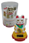 JaponyaDünyadan HediyelerDNY-HDYNEKO4520GBKeskin Hediyelik Eşya Ve TekstilManeki Neko El Sallayan Şans Kedisi Beyaz Solar Güneş Enerjili 6x10cm NO6GB