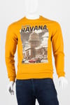 KübaDünyadan HediyelerDNY-HD100014Keskin Hediyelik Eşya Ve TekstilHavana Unisex Pamuklu Slim Fit Sweatshirt Medium