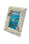 MaldivlerDünyadan HediyelerDNY-HD100132Keskin Hediyelik Eşya Ve TekstilDekoratif Ahşap Marin Deniz Kabuklu Resim Çerçevesi 16x22cm No:1
