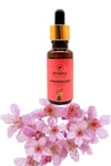 TürkiyeDünyadan HediyelerDNY-HDYMNKT0894Keskin Hediyelik Eşya Ve TekstilMystica Japon Kiraz Çiçeği Esansiyel Yağı (Diffuser Oil) Buhurdan Yağı 20ml