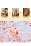 TürkiyeDünyadan HediyelerDNY-HDYMNKT0894Keskin Hediyelik Eşya Ve TekstilMystica Japon Kiraz Çiçeği Esansiyel Yağı (Diffuser Oil) Buhurdan Yağı 20ml