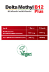DELTA METHYL B12 PLUS 10ML 66 SPRAY