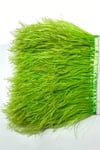 toptan-acik-yesil-deve-kusu-tuyu-1-mt-9f53-8.jpg