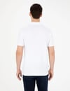 T-ShirtPIERRE CARDIN Erkek T-ShirtPİERRE CARDİN464451822564