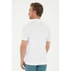 T-ShirtUS POLO ASSN Erkek T-ShirtU.S. Polo Assn.464451827972