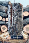 İsveç Ateşi (Kütüğü) - Swedish Torch