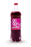 DOGANAY SALGAM 2 LT ACILI DGN012