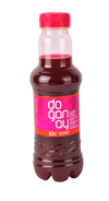 DOGANAY SALGAM 300 ML PET ACILI