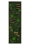 Işıklı Yosun Tablo Forest Brown Dikdörtgen