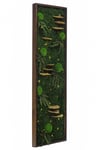 Işıklı Yosun Tablo Forest Brown Dikdörtgen