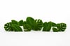 Leaf big Anıtsal Dev Yaprak Figürlü Peyzaj Sanatı - Çelik Konstrüksiyon Yapay Çim Heykeli ve Topiary 440x210x20 cm