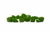 Leaf Medium Estetik Yaprak Figürlü Peyzaj Sanatı - Çelik Konstrüksiyon Yapay Çim Heykeli ve Topiary 345x170x20 cm