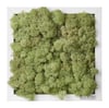 Mint Green Moss
