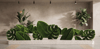 Monstera Leaf Big Anıtsal Dev Deve Tabanı Yaprağı Figürlü Peyzaj Sanatı - Çelik Konstrüksiyon Yapay Çim Heykeli ve Dev Topiary (Kişiye Özel Ebat)