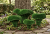 Set of Chanterelle Mushrooms Anıtsal Sarı Kız Mantarları Seti Figürlü Peyzaj Sanatı - Çelik Konstrüksiyon Yapay Çim Heykeli ve Dev Topiary Seti (Kişiye Özel Ebat)