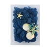 Solmayan Yosun Tablo Starfish Moss