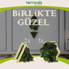 Yosun Tablo Birlikte Güzel BG1