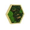 Yosun Tablo Forest Light A1