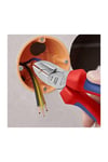 Knipex 70 05 160 T Asma Halkalı Yan Keski