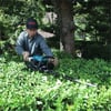 Makita EH7500W Benzinli Çit Budama Makinesi