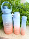 3 Lü Motivasyon Matara 2 LT + 700 ML + 300 ML
