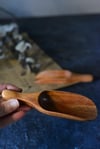 Akasya Mini Kürek Baharat Kaşık - 1 Adet