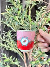 Aries Mug Kupa Bardak - 180 ml / 1 Adet