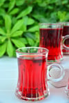 Giancarlo Cam Çay Bardağı 6 Lı