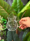 Keyfi Ala Semazen Borosilikat Cam Çay Bardak 6 Lı - 320 ML