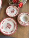 Manor Maroon 6 Kişilik 24 Parça Porselen Yemek Takımı