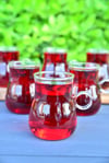 Nida Borosilikat Cam Çay Seti 6 Lı