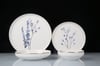 Spring Blanch Bone China 6 Kişilik 24 Parça Porselen Yemek Takımı