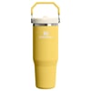 Stanley The IceFlow Flip Straw Pipetli Termos Bardak 0,89 LT - 30oz Daffodil