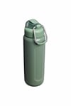 Stanley Wellspring Bottle 0,70 LT / 24oz Hammertone Green