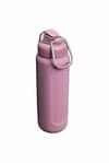 Stanley Wellspring Bottle 0,70 LT / 24oz Purple Smoke Gloss