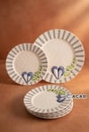 Vetrina Collection 7 Parça Pasta Seti - Gray