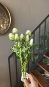 Yapay Çiçek 1 Dal Beyaz  - 10331