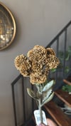 Yapay Çiçek 1 Dal Kahve  - 10334