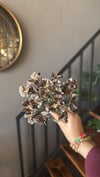 Yapay Çiçek 1 Dal Kahve  - 10337