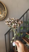 Yapay Çiçek 1 Dal Kahve  - 10337