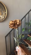 Yapay Çiçek 1 Dal Koyu Kahve  - 10329