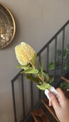 Yapay Çiçek 1 Dal Krem  - 10324