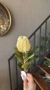 Yapay Çiçek 1 Dal Krem  - 10324