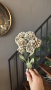Yapay Çiçek 1 Dal Krem  - 10334