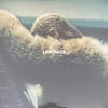 BEYONCÉ – LEMONADE