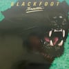 BLACKFOOT - TOMCATTIN'