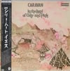CARAVAN - IN THE LAND OF GREY AND PINK