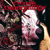 DARK TRANQUILLITY - THE MIND'S I 